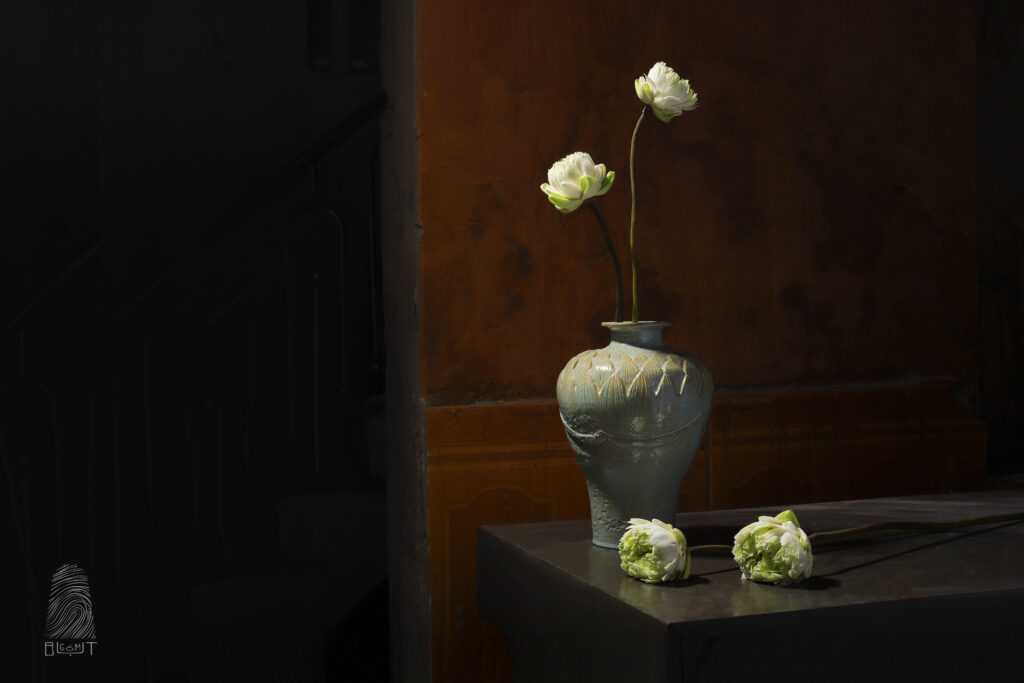 Hành trình: THU SANG